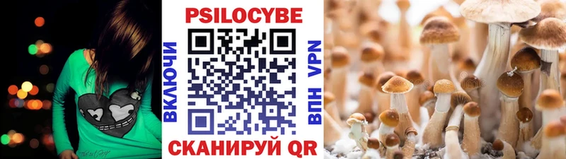 Псилоцибиновые грибы Psilocybine cubensis  купить   Лаишево 